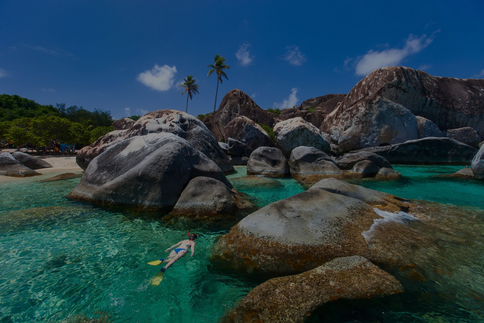 Tortola Dining
